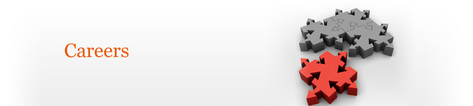 Intersect Group IT Inc